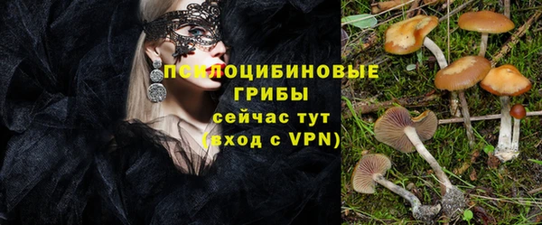 кокаин Вяземский