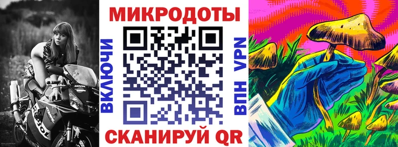 kraken онион  купить наркотик  Заинск  Псилоцибиновые грибы GOLDEN TEACHER 